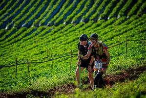 BIB: 
                            <button type="button" onclick="openModal(19160531)" class="btn btn-primary btn-sm float-right btn-popup" data-toggle="modal" data-target=".modal-high-quality">
                        <i class="fas fa-shopping-cart"></i> Add to Cart
                    </button>
                                            <button type="button" onclick="isThisMe(19160531, true)" class="btn btn-success btn-sm float-right btn-popup btn-isme hidden" data-toggle="tooltip" data-placement="bottom" title="นี่คือรูปของคุณใช่ไหม คลิกที่นี่เพื่อเอาเข้าอัลบั้ม">
                        <i class="fas fa-plus"></i> Add to album
                    </button>
                    <button type="button" onclick="isThisMe(19160531, false)" class="btn btn-warning btn-sm float-right btn-popup btn-isnotme hidden">
                        <i class="fas fa-ban"></i> Remove from album
                    </button>